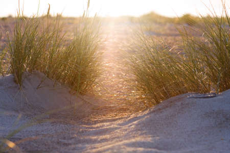 sunsetの写真素材