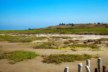 danish wadden sea national parkの写真素材