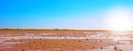wadden sea
