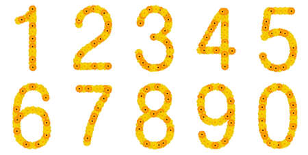 calendula 0-9の写真素材