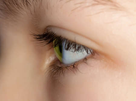 green eye of a young girlの写真素材