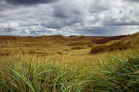 dunes landscape with storm cloudsの写真素材