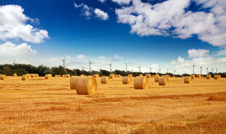 straw bales on farmlandの写真素材
