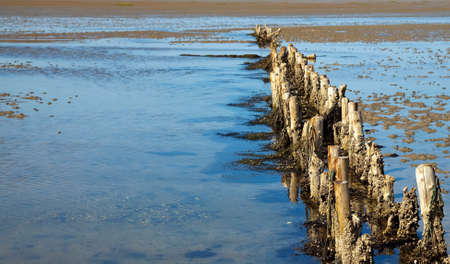 old wooden breakwater at the wadden seaの写真素材