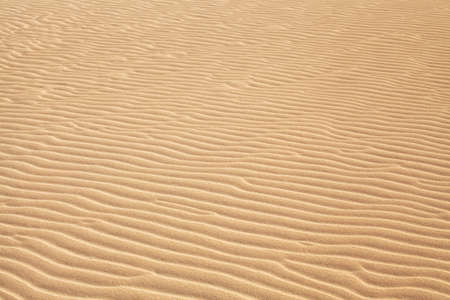 ripples in the desert sandの写真素材