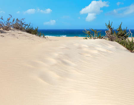 sand dunes of Corralejo, Fuerteventuraの写真素材