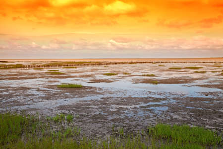 Danish wadden sea national park
