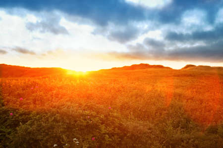 beautiful danish coastline at summerの写真素材