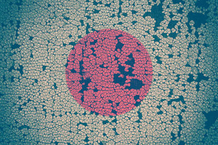 japanese flag on cracked backgroundの写真素材