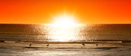 beautiful sunset over the ocean
