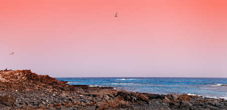 volcanic rocks on the shoreの写真素材