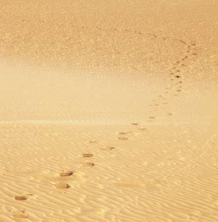 sand dunes with human footstepsの写真素材