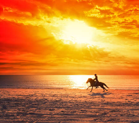 horse riding on the beach at sunsetの写真素材