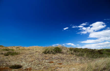 beautiful danish coastline at summerの写真素材