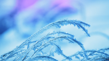 ice crystals on the grass, shallow depth of field