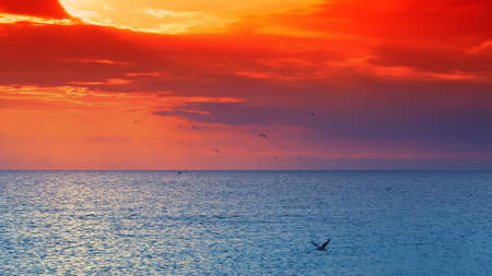 beautiful sunset over the oceanの写真素材
