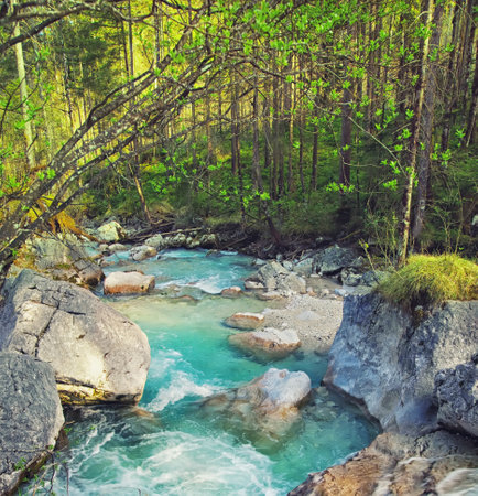 clear water in the river with rocksの写真素材