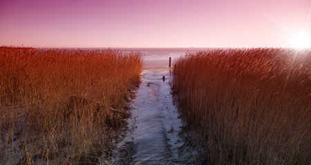 Winter landscape at Ringkobing Fjord, Denmarkの写真素材