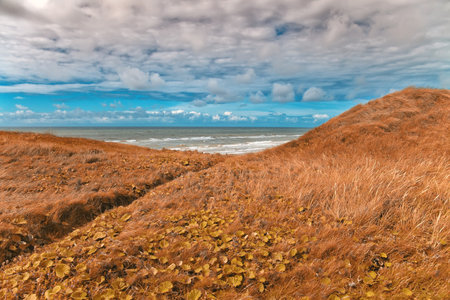 Beautiful Danish coastline at summerの写真素材