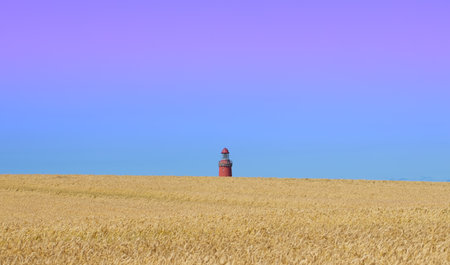 Lighthouse behind a ripe grain fieldの写真素材