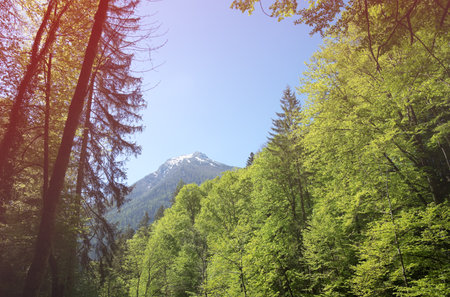 Landscape in the Alps in springtime with a blue sky