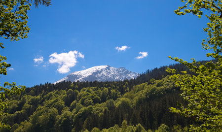 Landscape in the Alps in springtime with a blue skyの写真素材