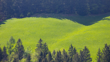 Landscape in the Alps in springtime with green grassの写真素材