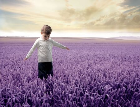 Child standing on a lavender fieldの写真素材