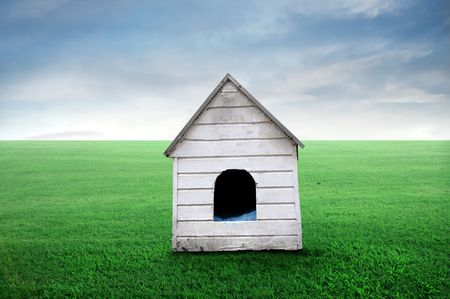 Wooden doghouse on a green meadowの写真素材