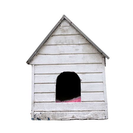 Doghouseの写真素材