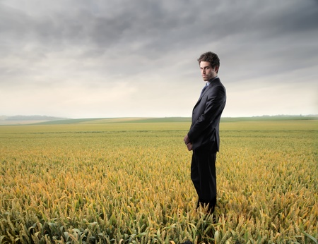 Businessman standing on a wheat fieldの写真素材