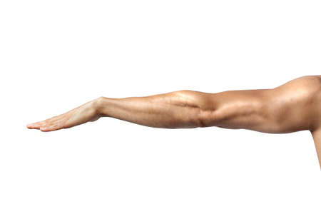 Muscular man's armの写真素材