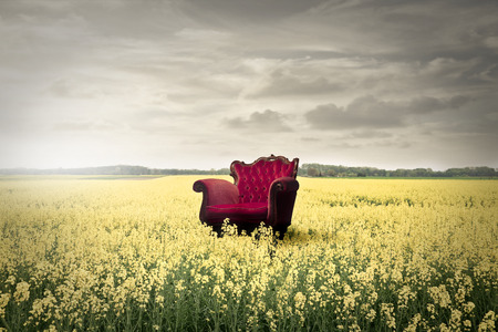 Red chair in a field full of flowersの写真素材