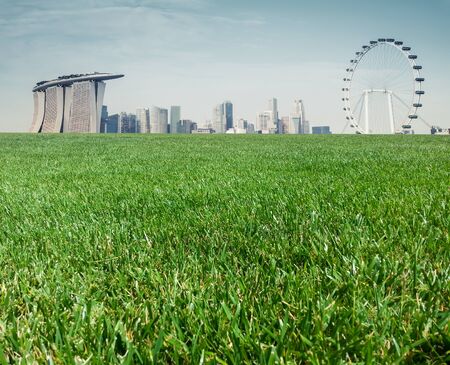 grass field  in beautiful view  city background idea designの写真素材
