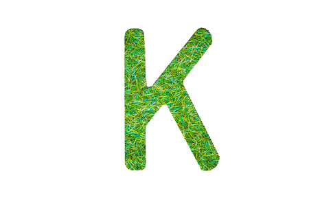 grass alphabet in isolated background designの写真素材