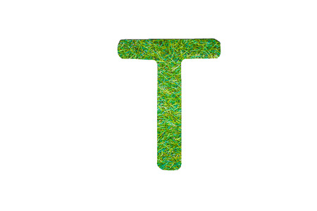 grass alphabet in isolated background designの写真素材