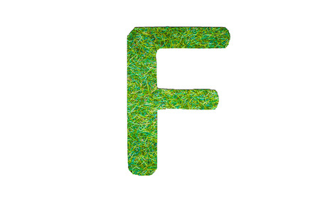 grass alphabet in isolated background designの写真素材