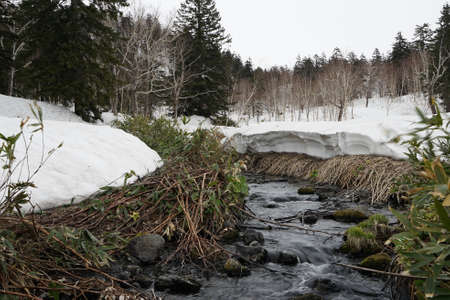 The snow and river in winterの写真素材