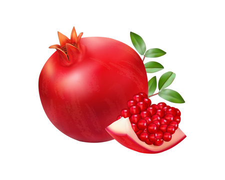 Vector pomegranates realistic with leaves isolated on a white backgroundのイラスト素材