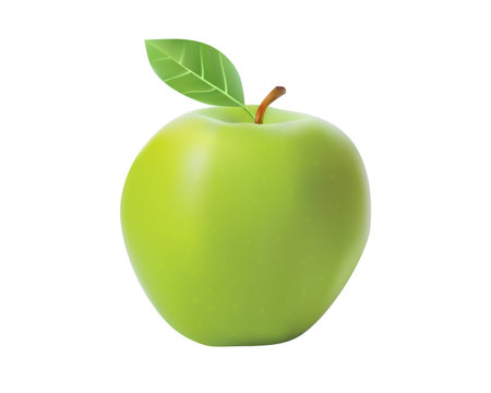 Vector green apple, 3d realistic isolated on white background. EPS 10のイラスト素材