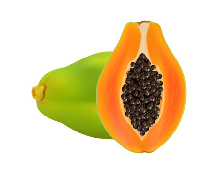 Vector pawpaw / papaya, 3d realistic isolated on white background. EPS 10のイラスト素材