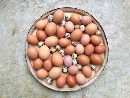 Chicken eggs and Quail eggs in wooden plate on cement backgroundの写真素材