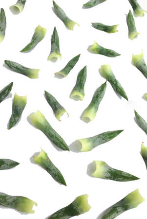 Pineapple leafの写真素材