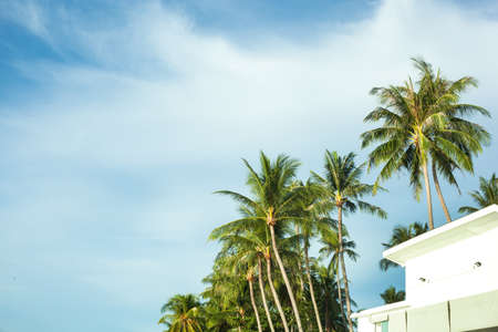 White building with blue sky, white clouds and coconut trees.の写真素材