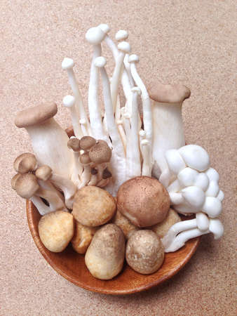 Variety of Mushrooms in a bowl on plywood backgroundの写真素材