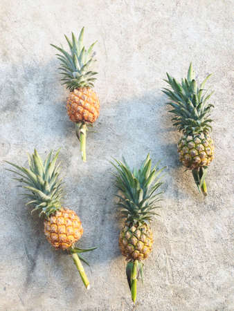 Pineapple on cement floor.の写真素材