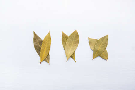 Dried bay leaves on white wooden background.の写真素材