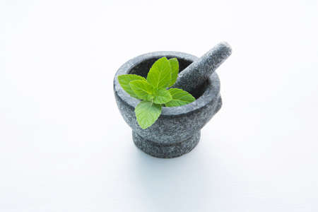 Stone mortar and pestle with peppermint leaf on white wooden background with copy space.の写真素材