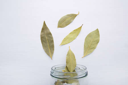 Dried bay leaves in glass jar on white wooden background.の写真素材