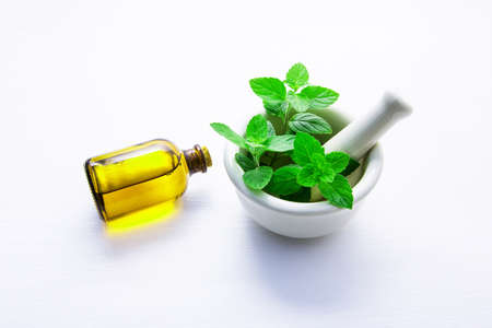 Natural Mint Essential Oil in a Glass Bottle with Fresh Mint Leaves in white porcelain mortar on white wooden background.の写真素材